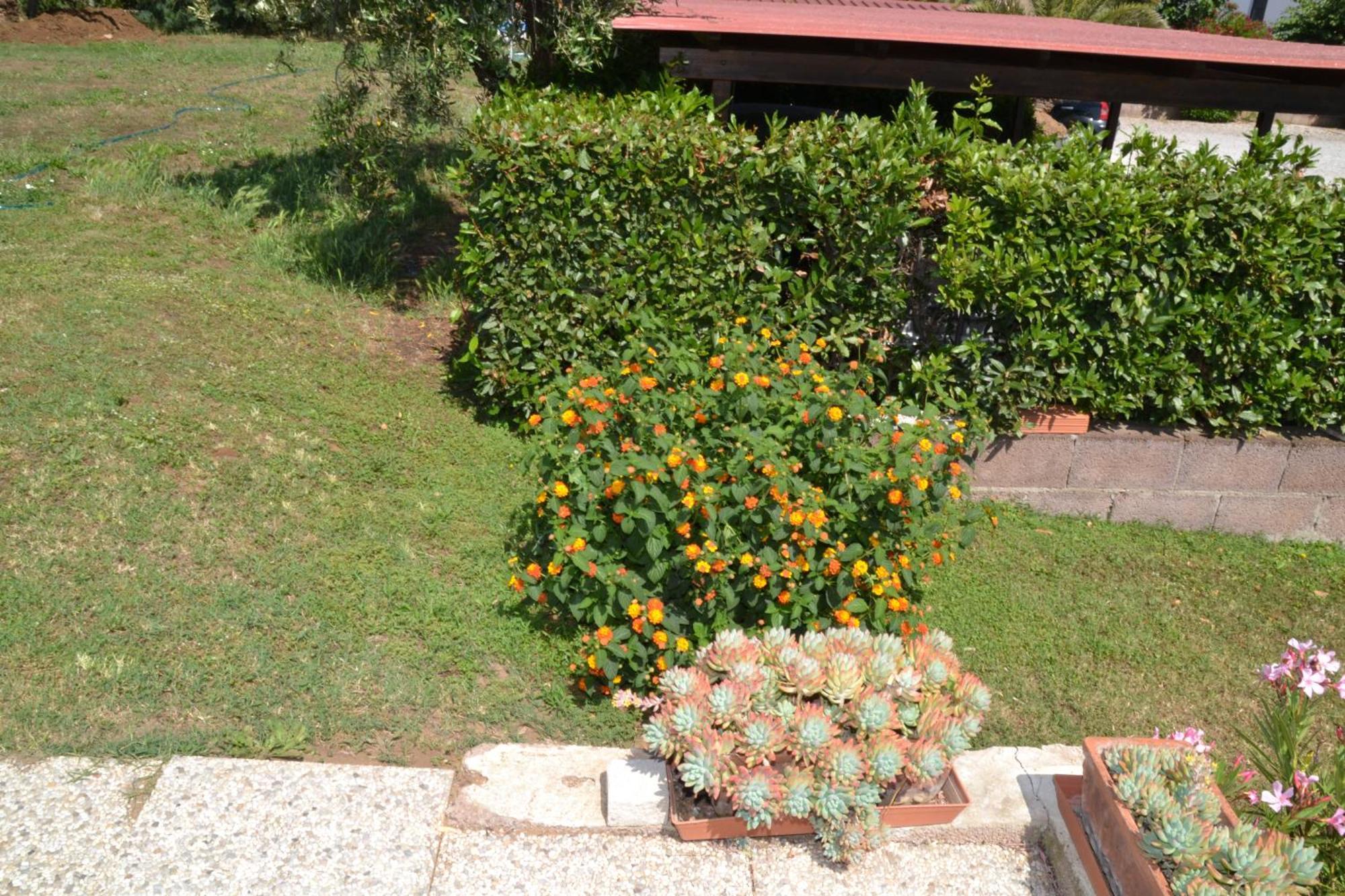 Hotel La Mimosa Bolgheri Zewnętrze zdjęcie
