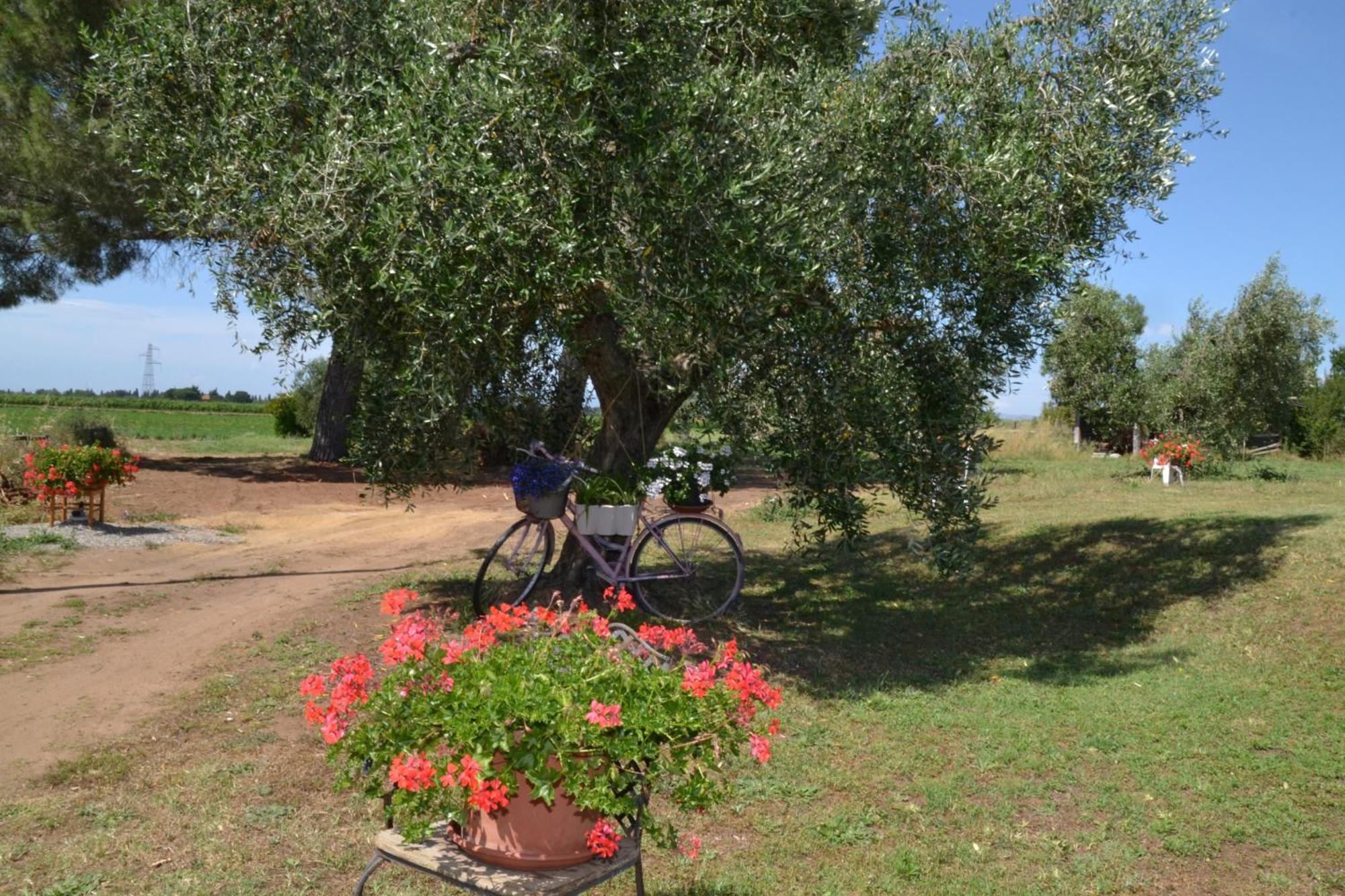 Hotel La Mimosa Bolgheri Zewnętrze zdjęcie