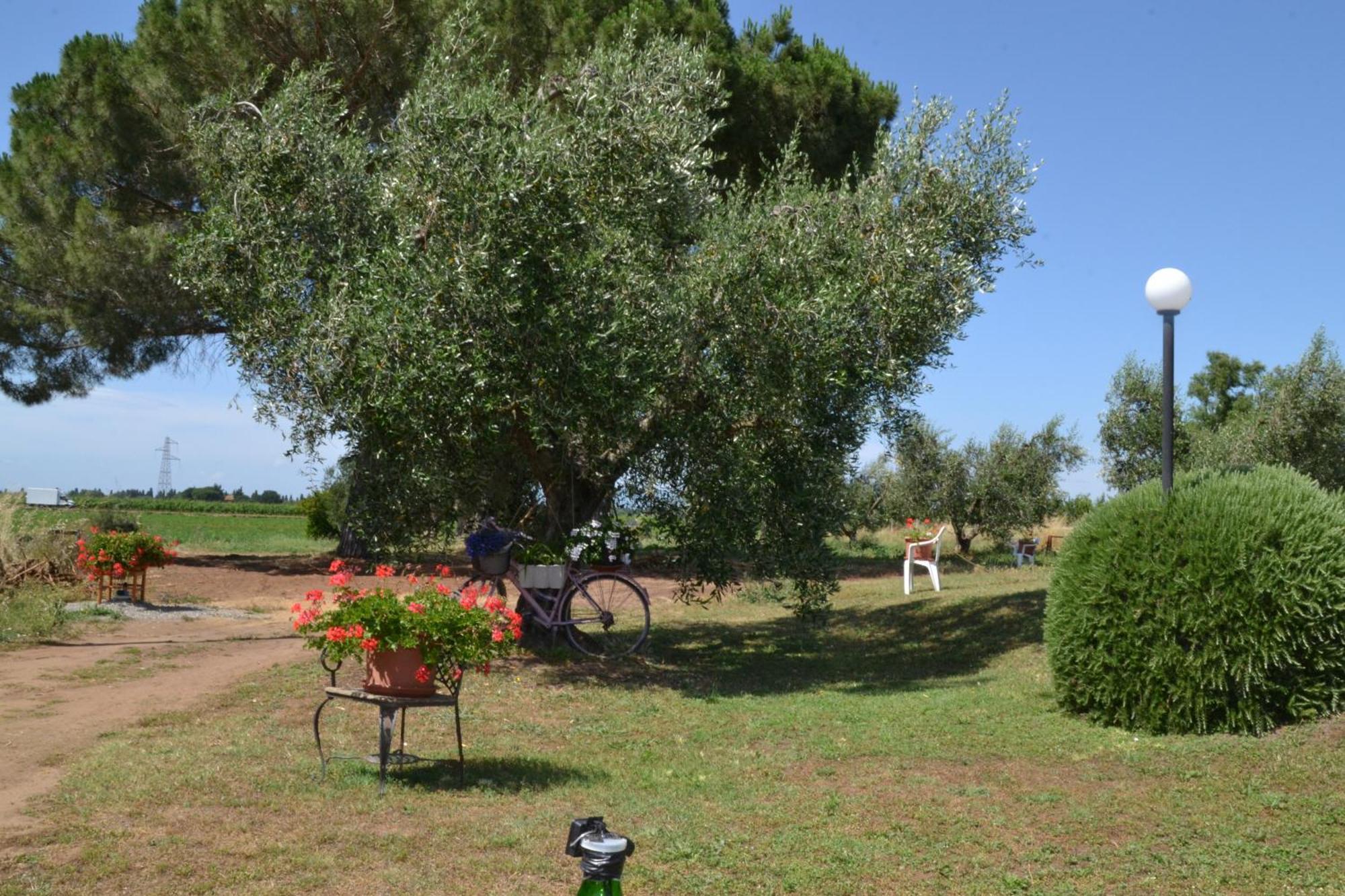 Hotel La Mimosa Bolgheri Zewnętrze zdjęcie
