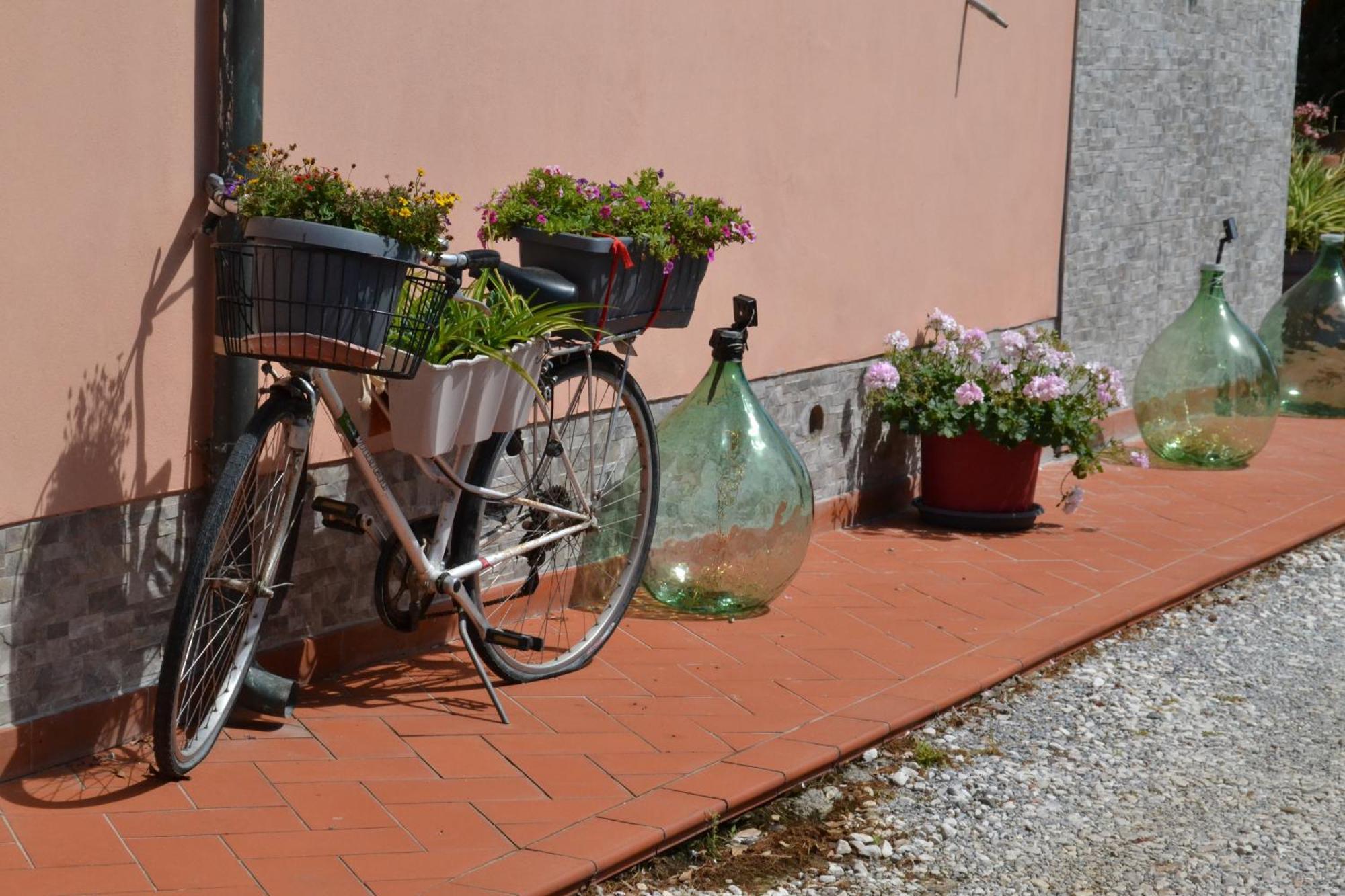 Hotel La Mimosa Bolgheri Zewnętrze zdjęcie