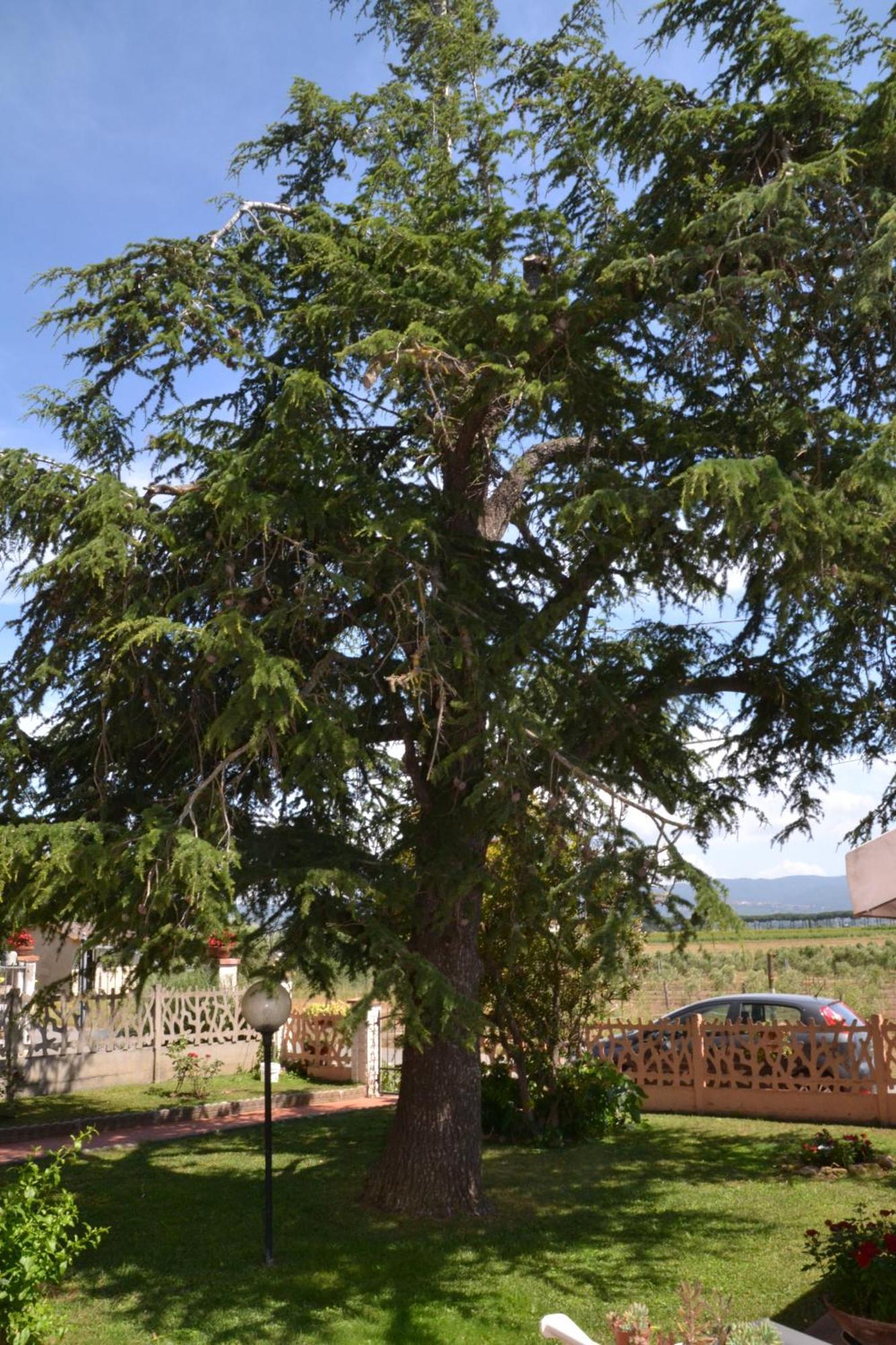 Hotel La Mimosa Bolgheri Zewnętrze zdjęcie